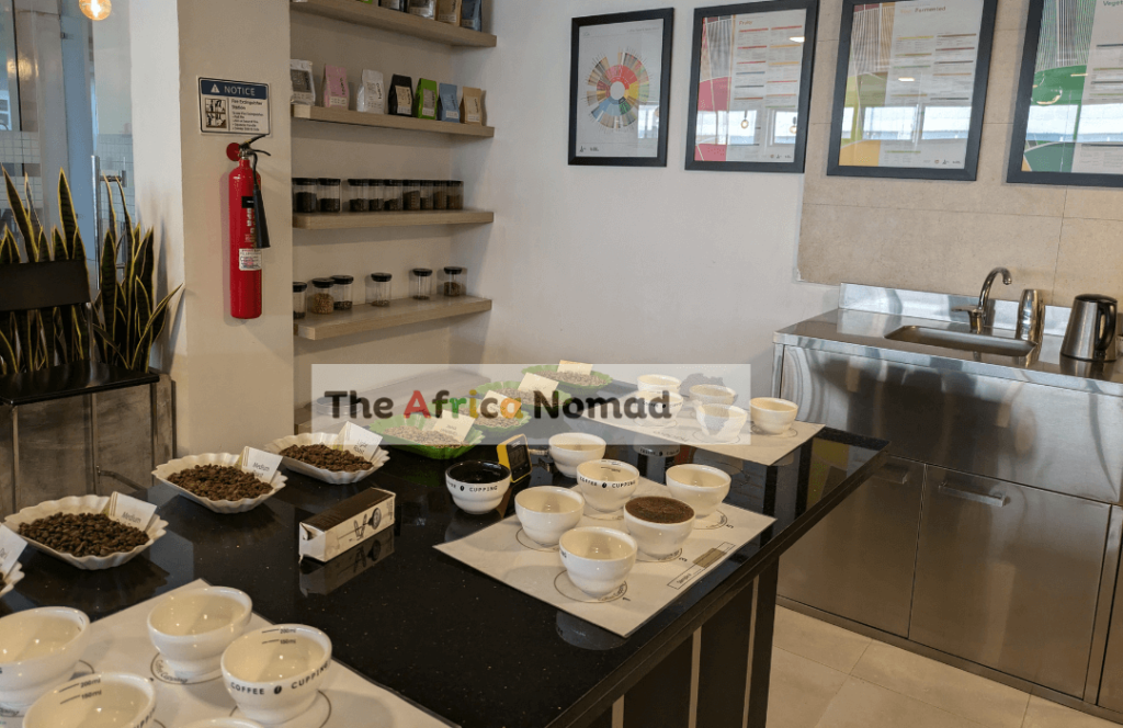 The Coffee Gallery - Coffee Tour in Addis Ababa, Ethiopia