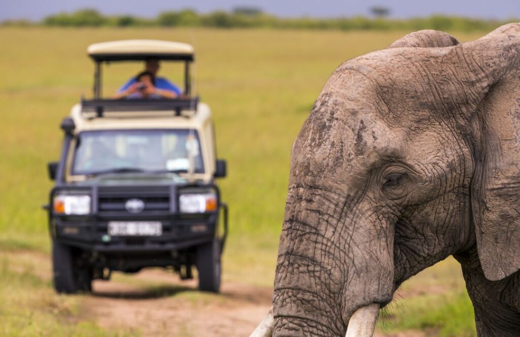 Activities & things to do in Africa - The Africa Nomad